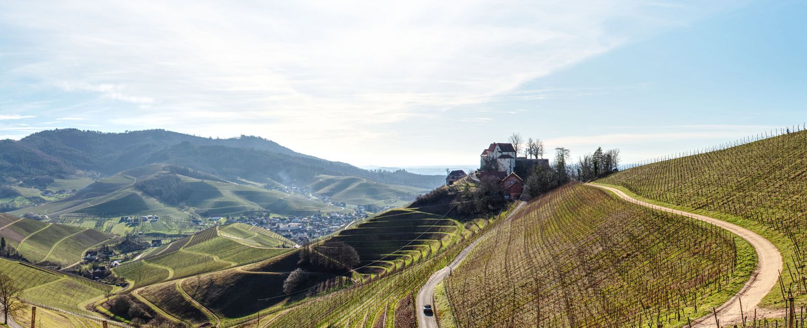 Diakonenweihe im Dom